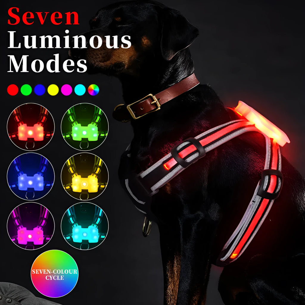 Luminous strap charging dog lead with seven-colour transformation, nylon construction, in size M