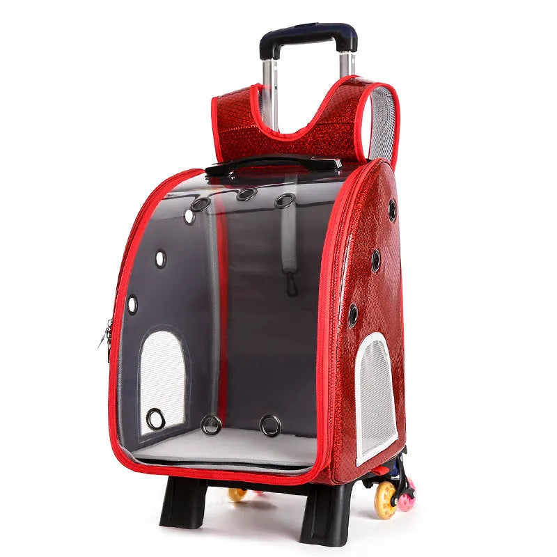 Transparent pet trolley backpack with folding design and shoulder strap for small dogs and cats