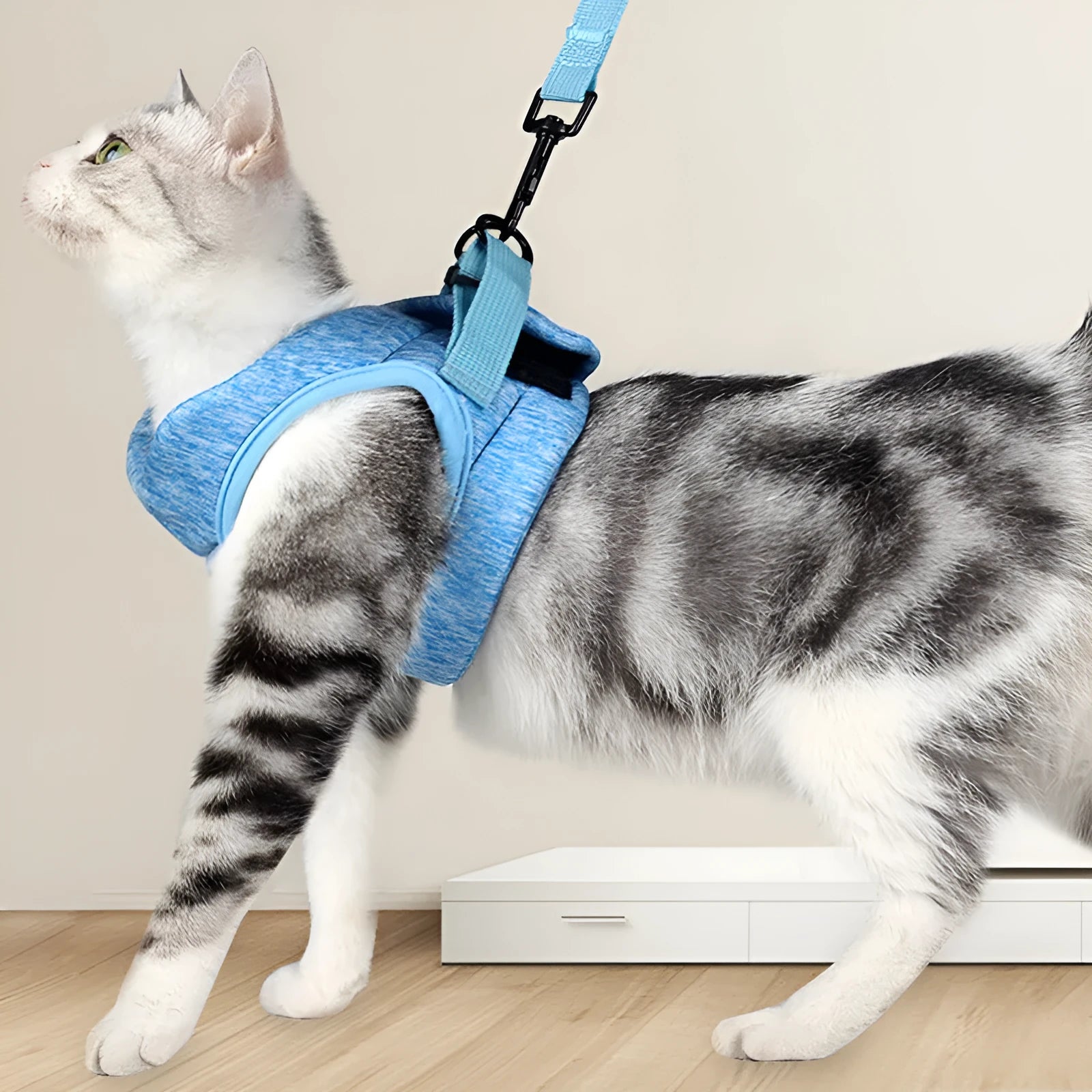Breathable lace rope cat leash and chest harness set in four colours sky blue hemp gray pink emerald green JIYUANPET