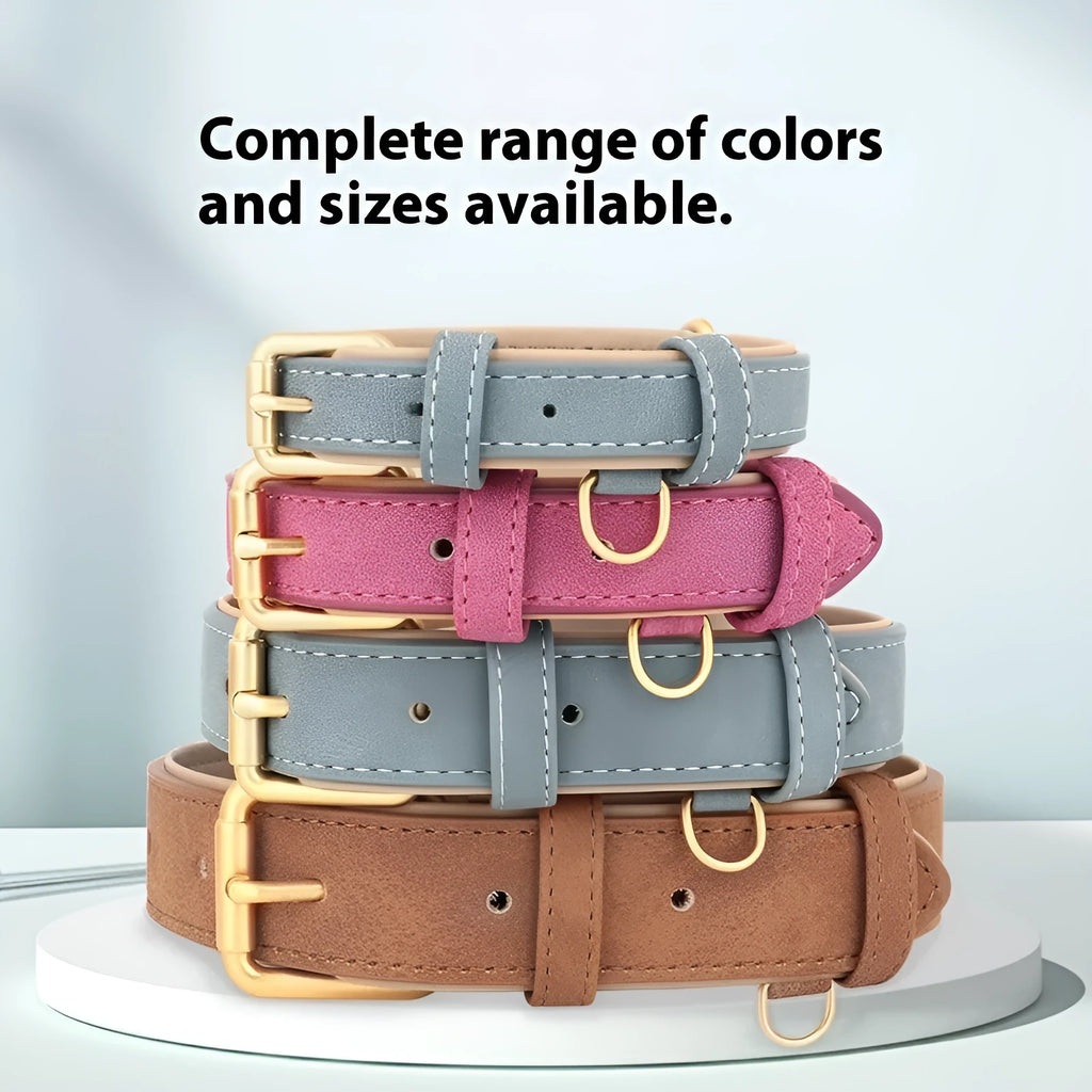 A brown double-layer leather dog collar and matching leash for medium-sized dogs.