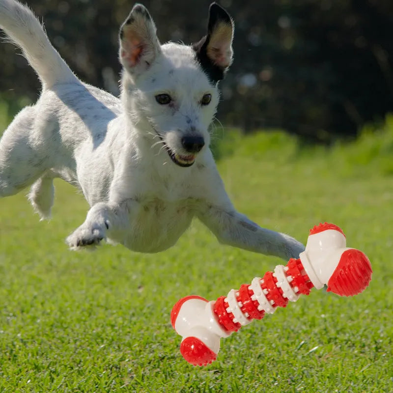 Blue bone-shaped interactive dog chew toy with treat dispensing centre for small breeds