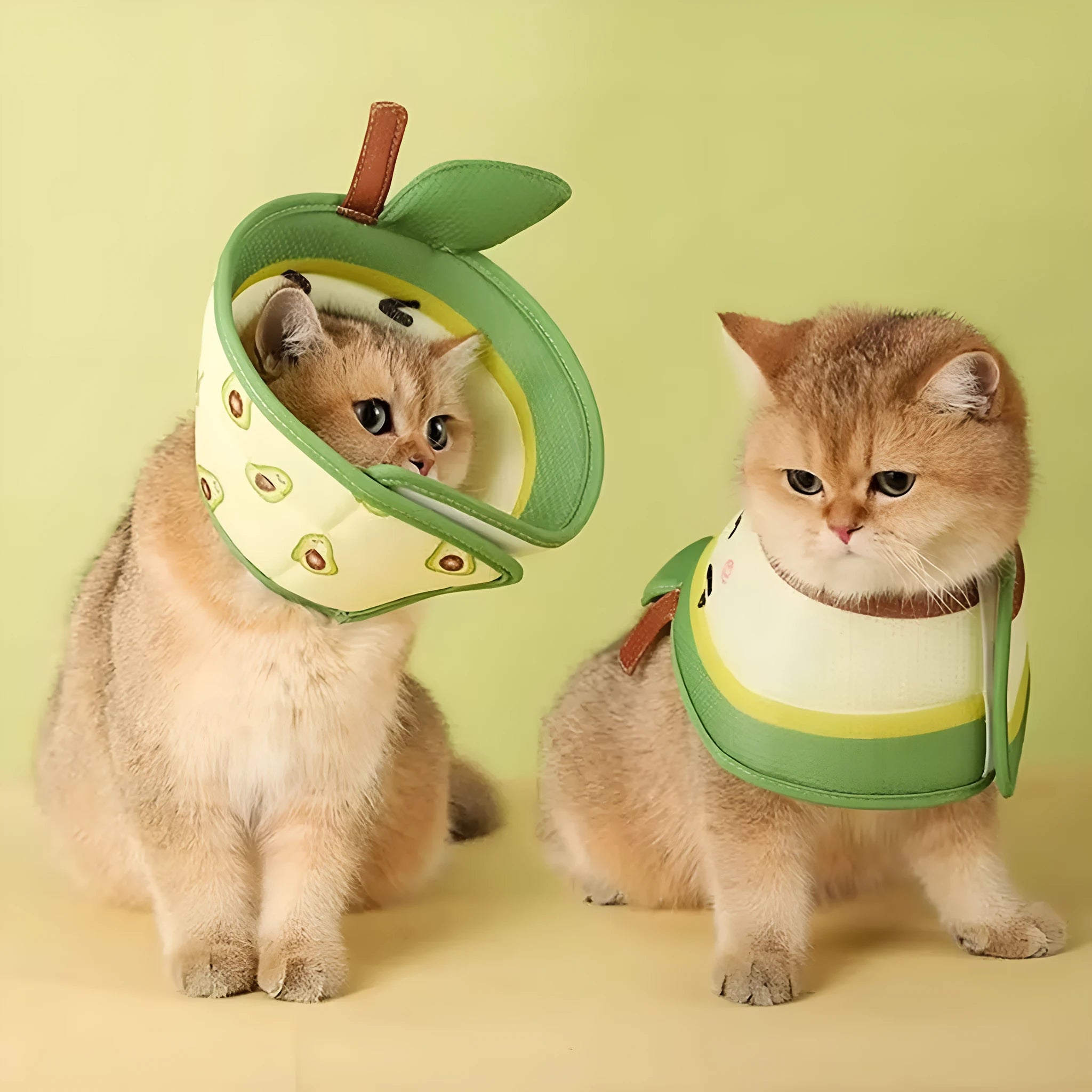 Soft EPE cat recovery collar with adjustable strap in three sizes