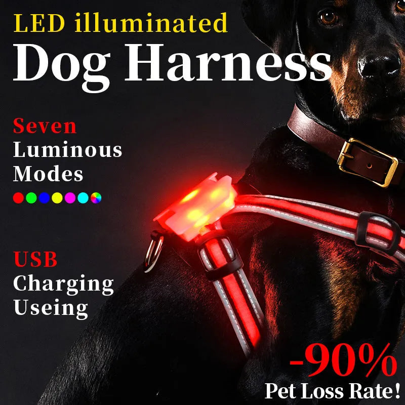 Luminous strap charging dog lead with seven-colour transformation, nylon construction, in size M