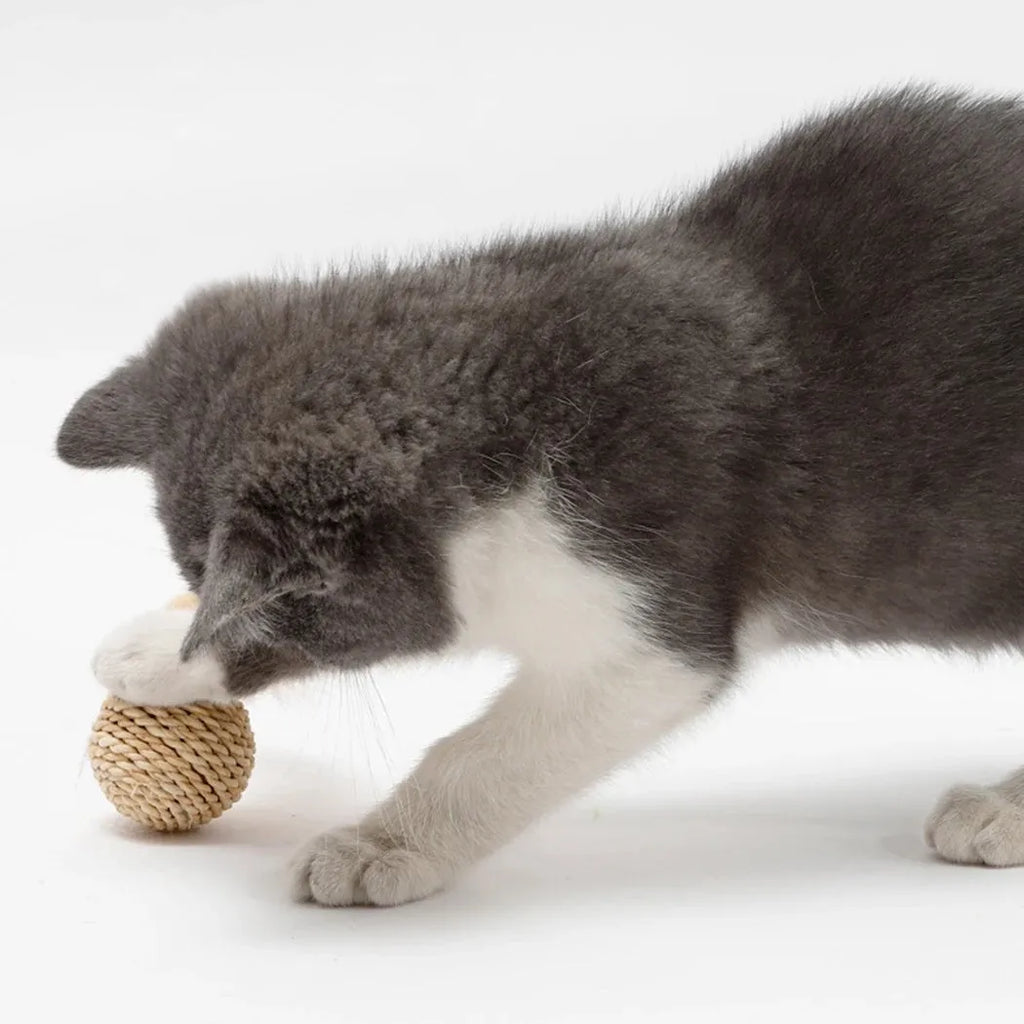 Two-piece cat toy set showing rattan ball and faux feather bell ball for interactive pet play