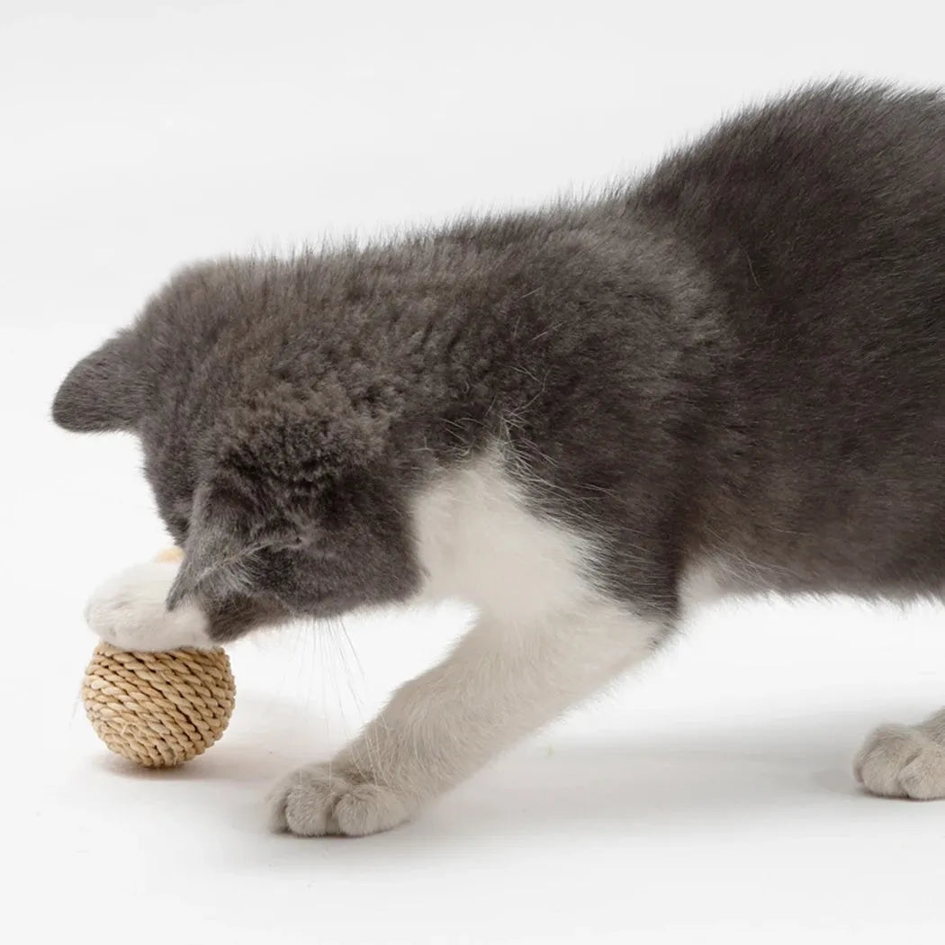 Two-piece cat toy set showing rattan ball and faux feather bell ball for interactive pet play