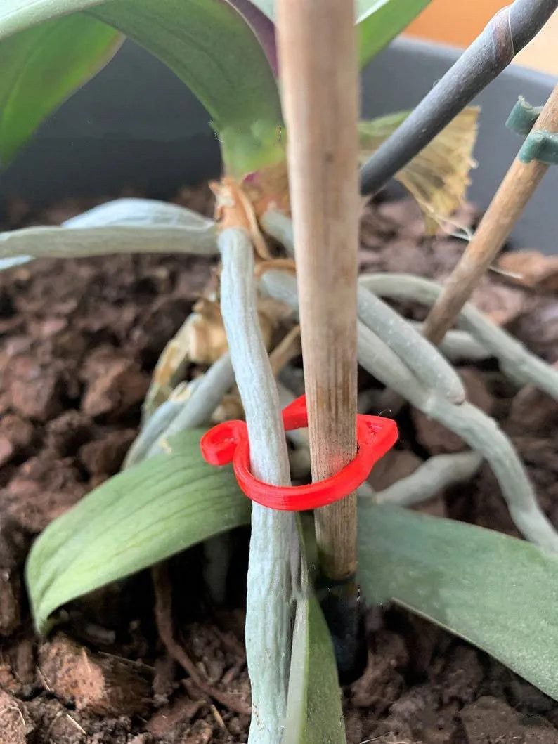 Small cat-shaped plastic plant clip in green, red, white, or yellow for securing vines in the garden.