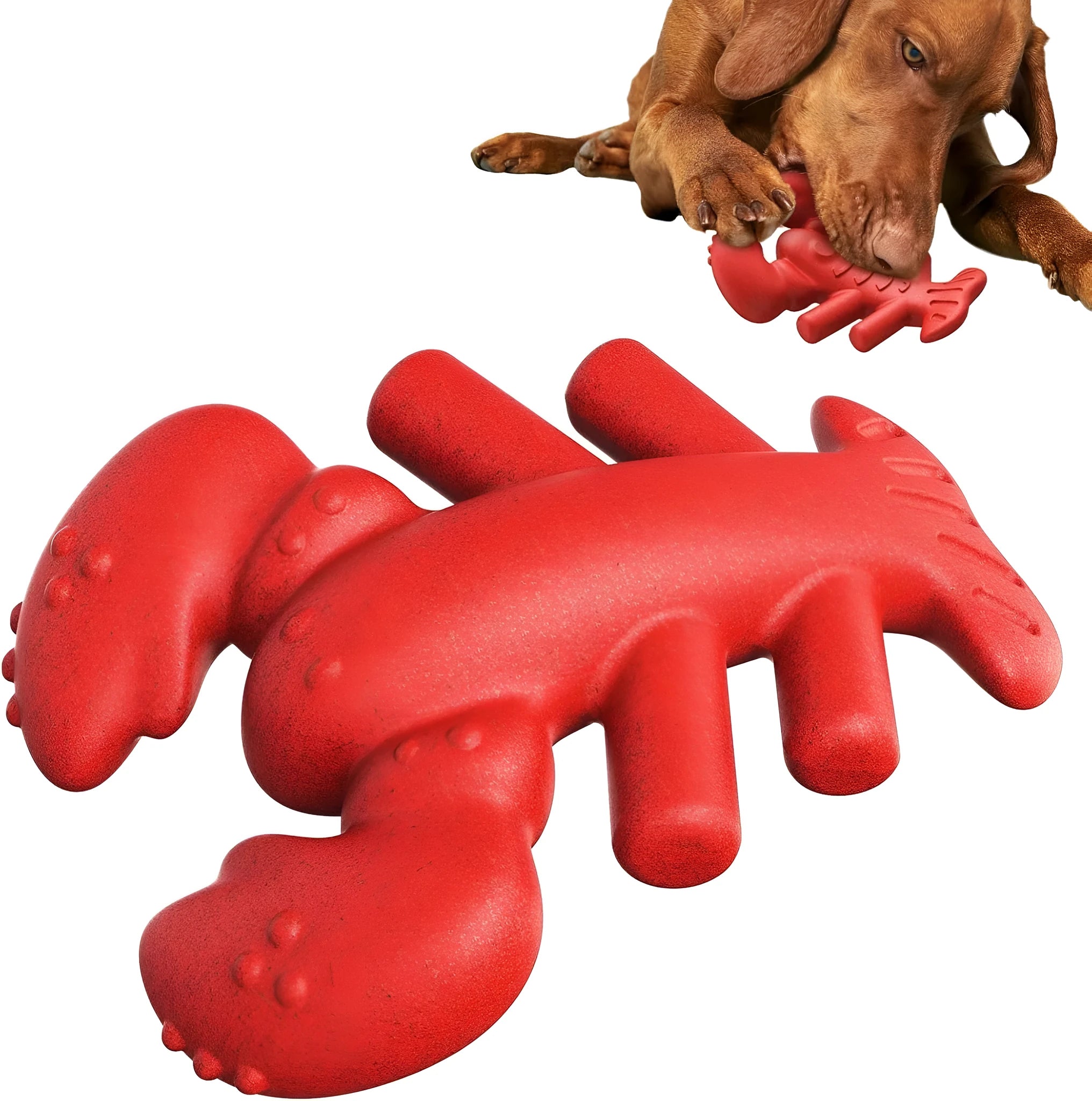 Red nylon dog chew toy for large breed aggressive chewers showing teeth cleaning texture