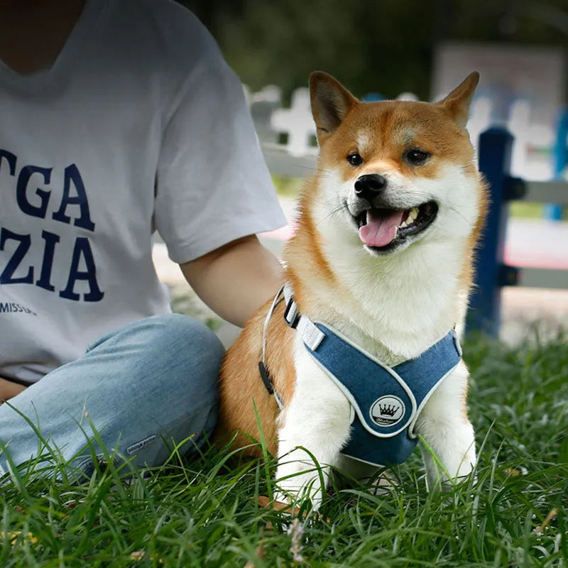Adjustable dog harness vest with reflective mesh, back metal ring, available in multiple colours and sizes