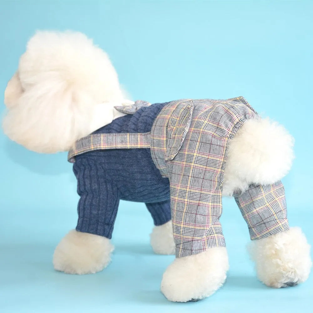 Orange and dark blue cotton dog shirt for small pets in sizes S to 2XL