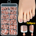 Open box showing 120 full square short French white edge toe nail tips in various nude shades.