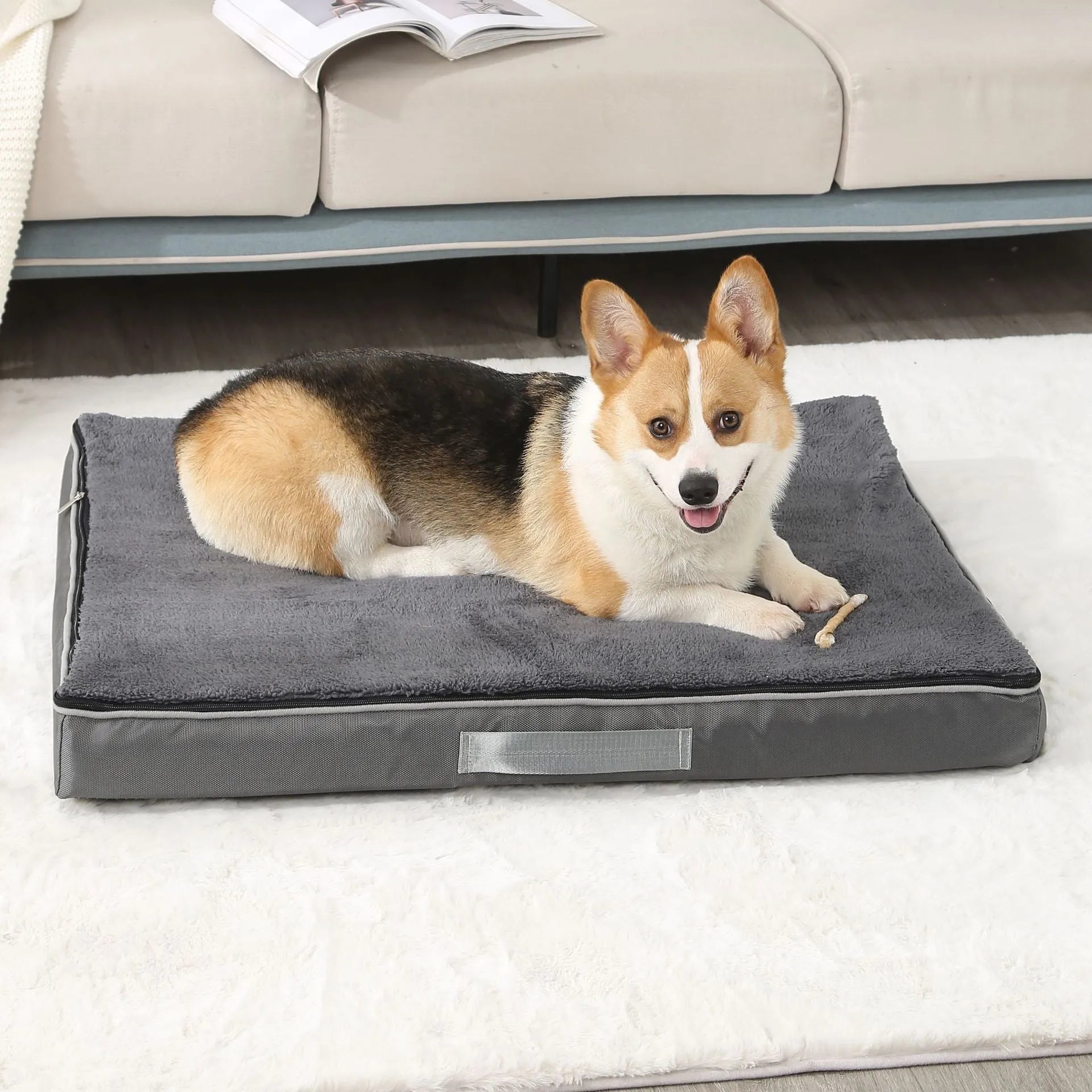 Removable washable sponge dog mat in brown colour on a light floor
