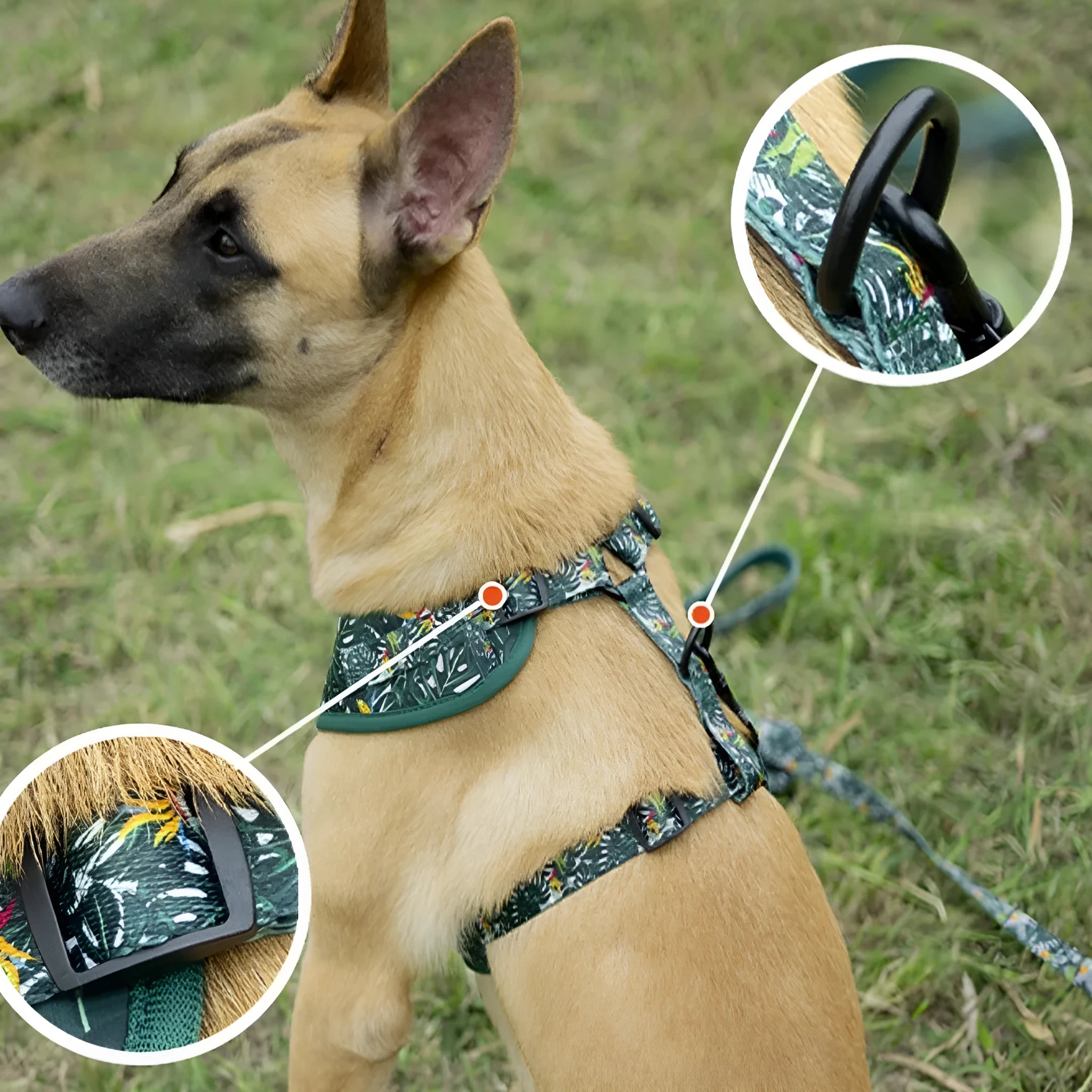 Adjustable cloth dog harness set with haulage rope, collar, waste bag, bow and triangle scarf accessories