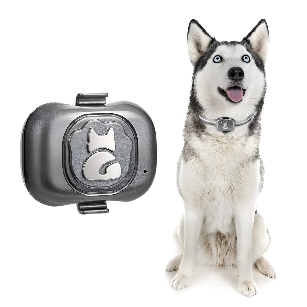 Black Pet GF-07 GPS locator device with hanging rope for pet collar attachment