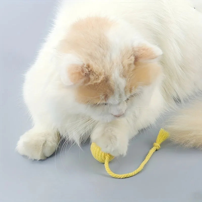 Colourful cat toy ball with an attached rope, shown in green, pink, purple, and yellow with 6cm and 3cm size options.