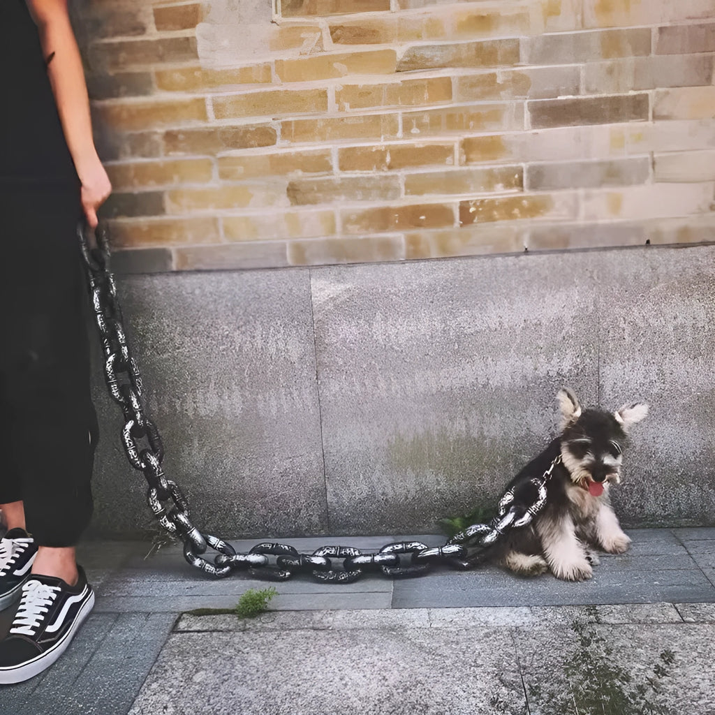 PP plastic dog walking leash with simulated chain design in bronze colour