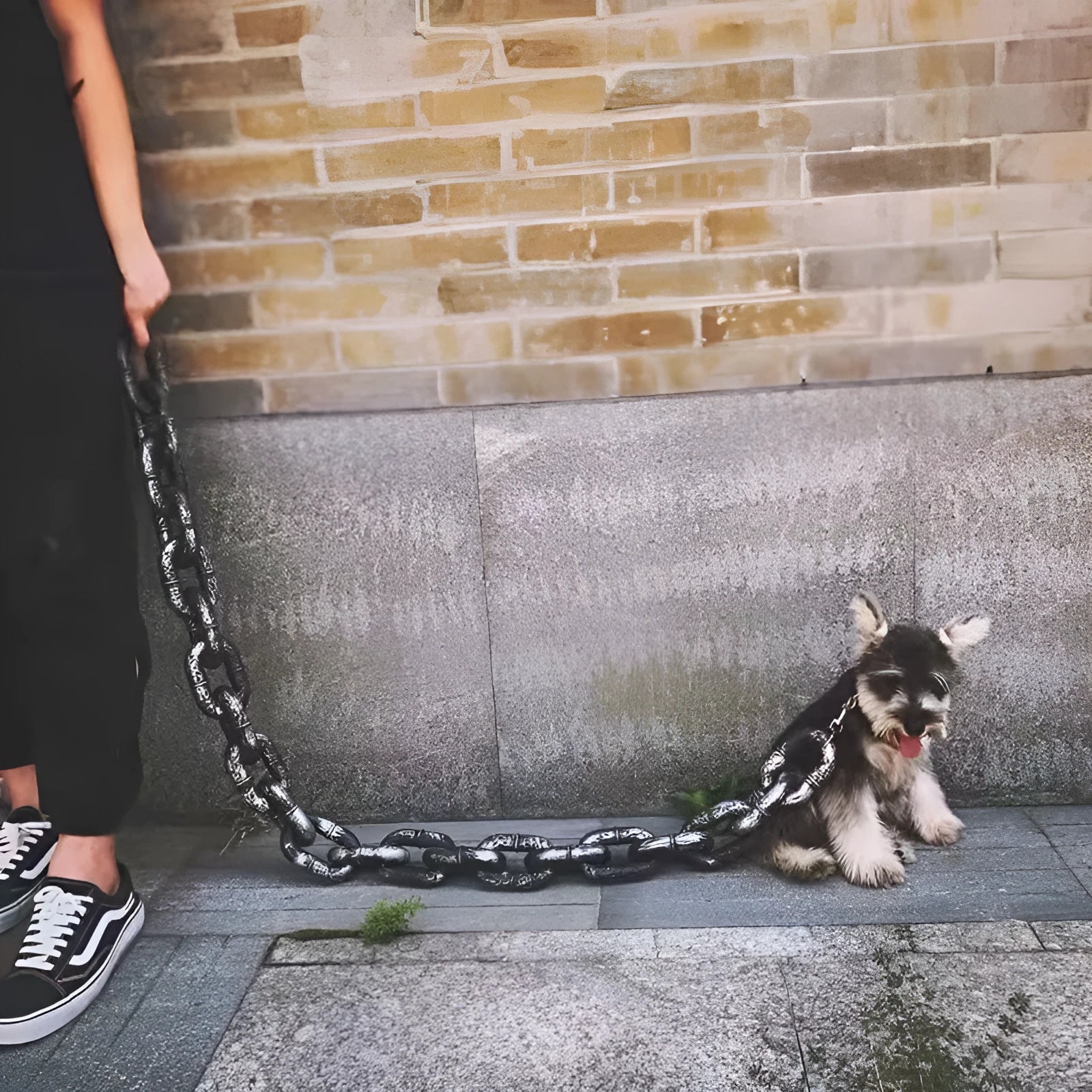 PP plastic dog walking leash with simulated chain design in bronze colour
