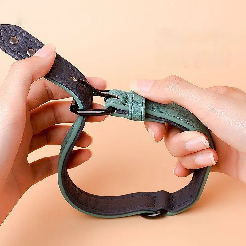 Simple and portable adjustable dog collar in purple with double-layer thickening and anti loss design