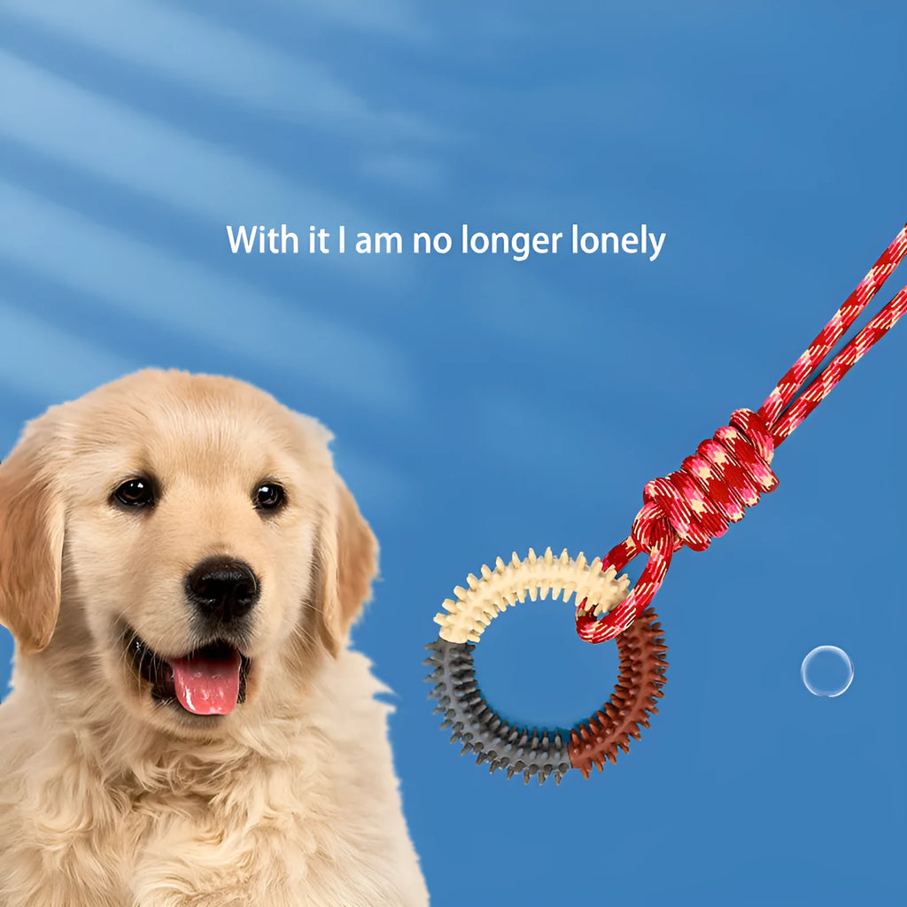 Blue braided rope dog toy with four puppy knots, measuring 43cm long