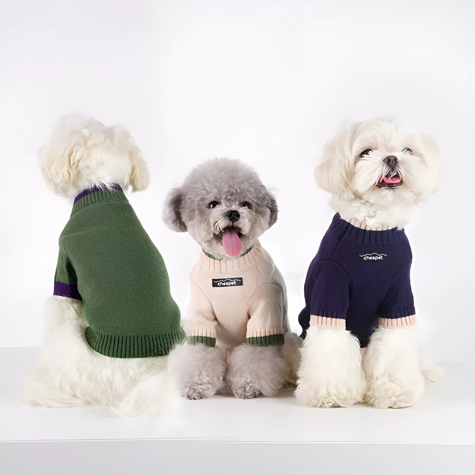 Wool two-leg dog sweater in British style for winter, shown in Crown Blue colour.