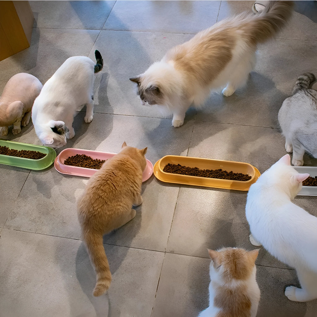 Leakproof pet bowl feeder set for cats and dogs in green pink and yellow colours