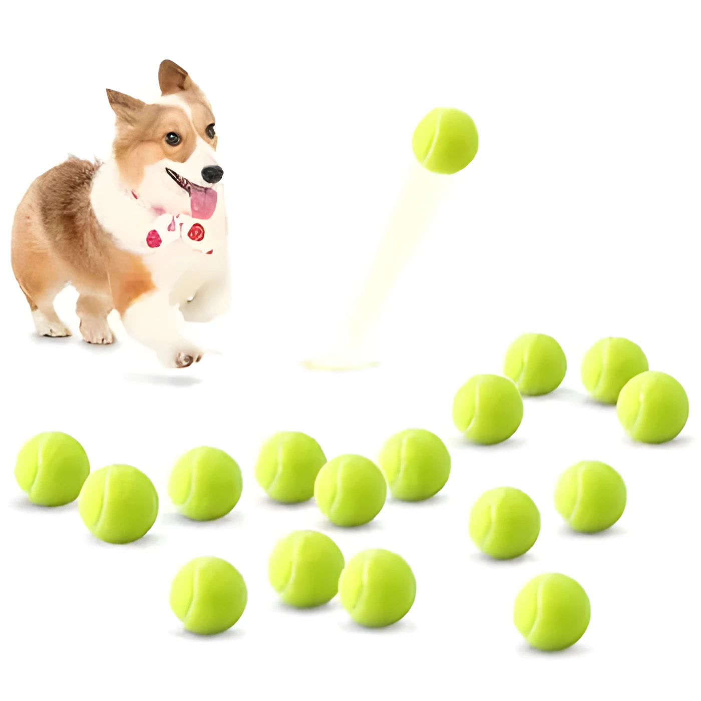 Bite-resistant rubber dog tennis ball in pink, blue, green, orange, and red colours, 6.3cm diameter