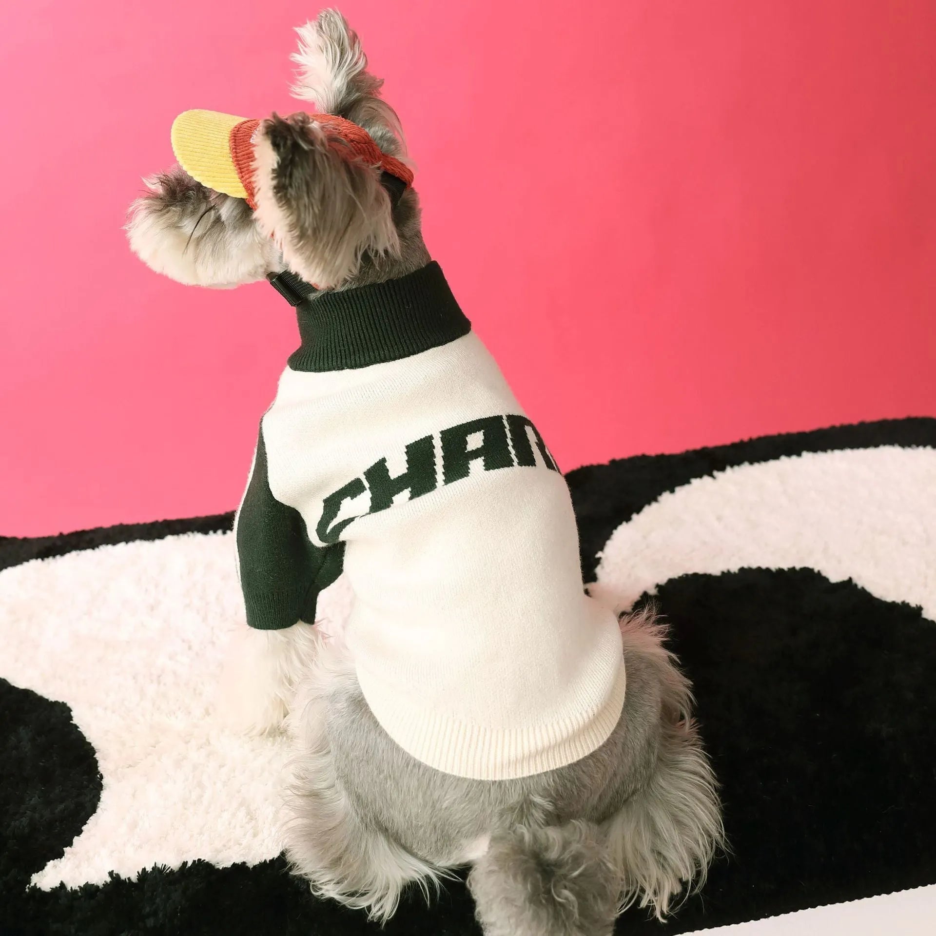 Puppy dog sports sweater cardigan in wool, dark green and red colours, available in sizes S to XXL