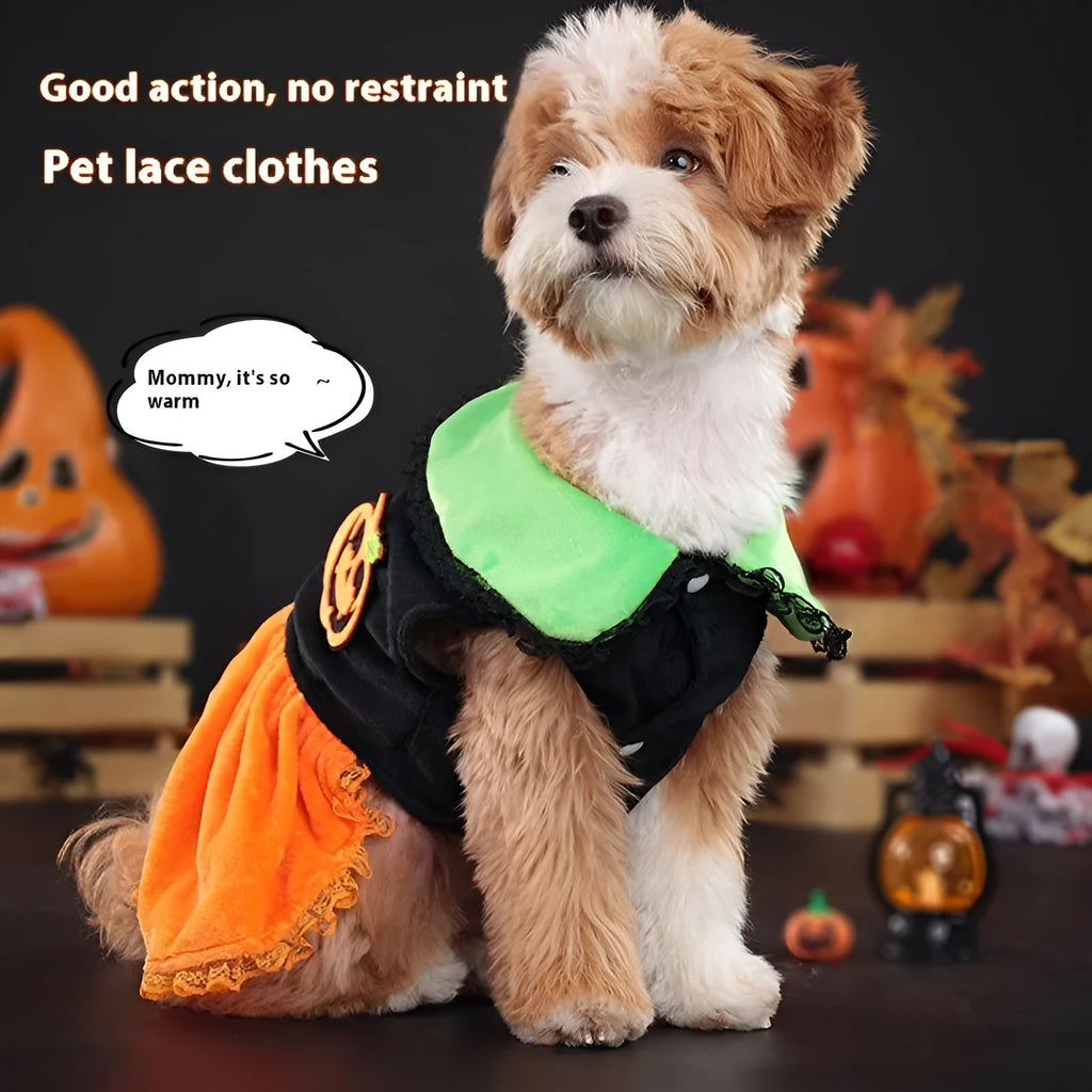 Halloween pet costume for small dog, shown as a crystal velvet pumpkin skirt and festive sweater.
