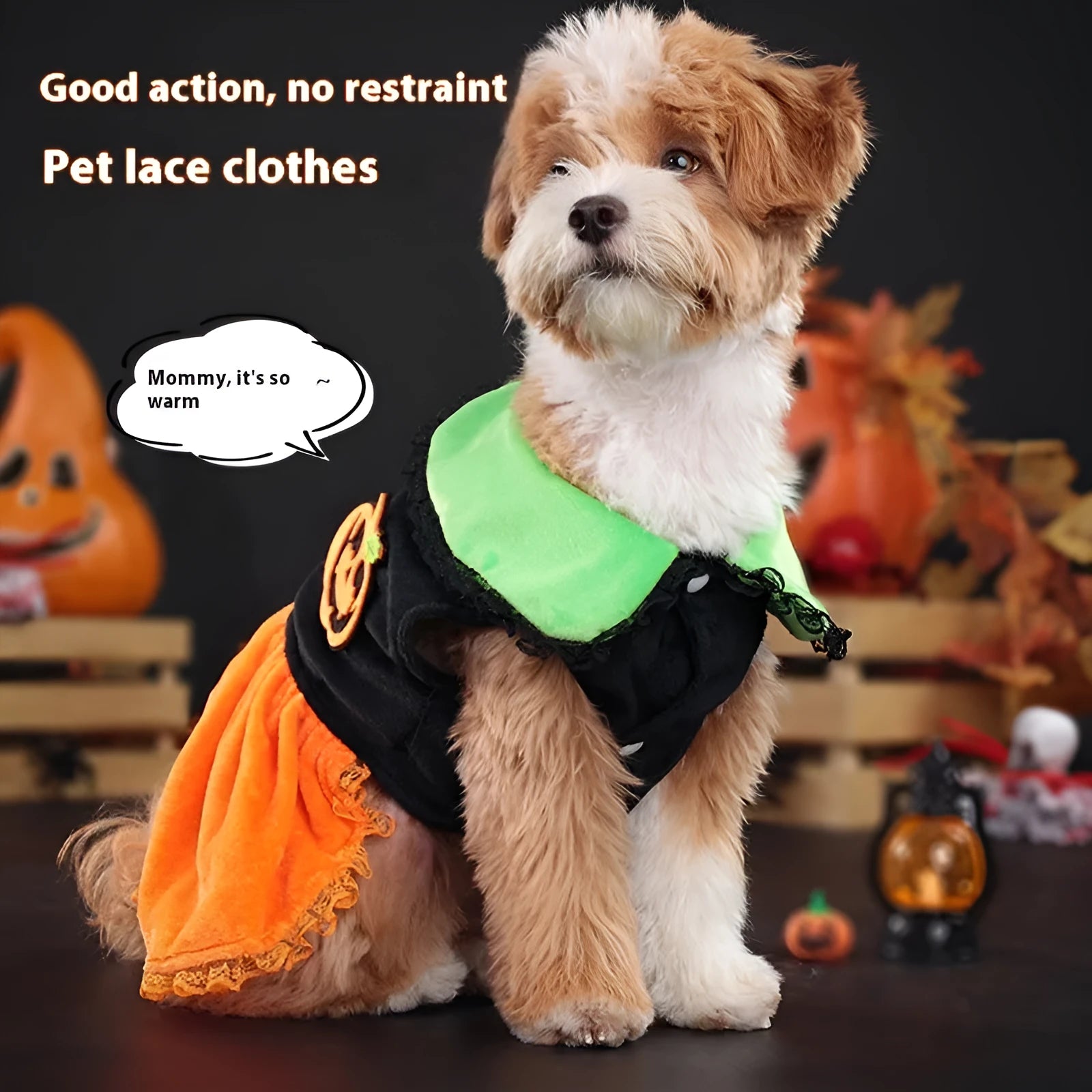 Halloween pet costume for small dog, shown as a crystal velvet pumpkin skirt and festive sweater.