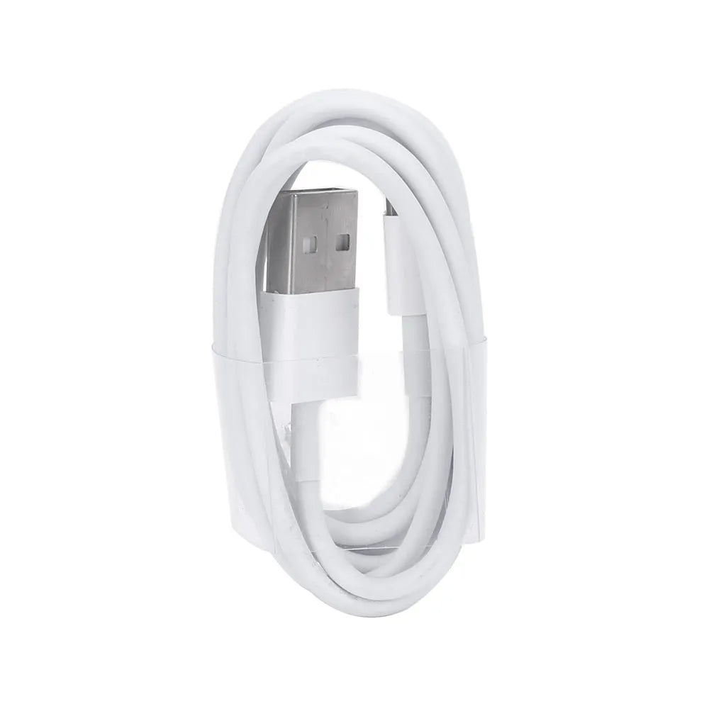 5V 2A USB charger and cable for iPhone and iPad smartphones and tablets