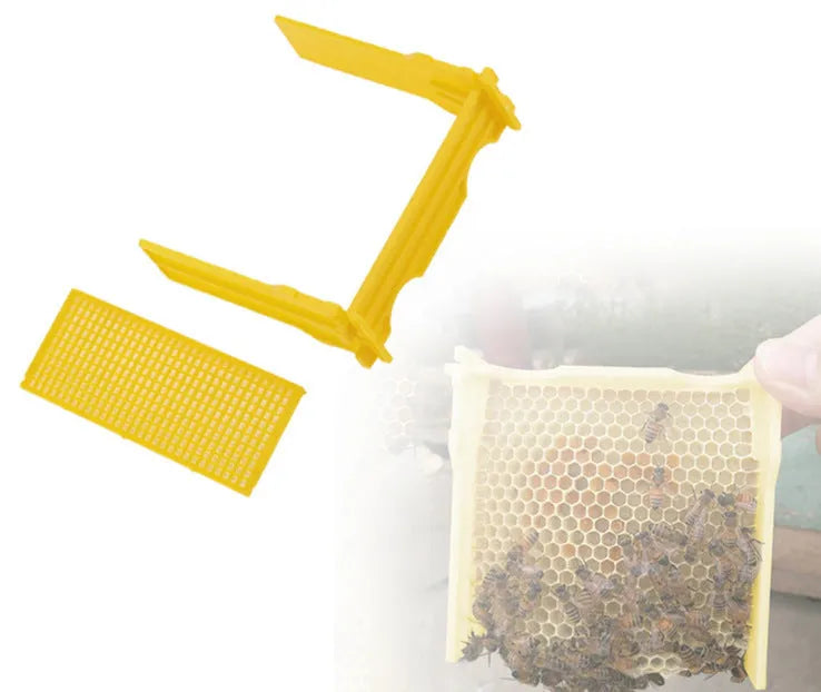 Three white EPS foam mini delivery boxes for beehive queen introduction and bee breeding.