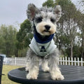 Blue and grey white slim-fit pet hoodie with reflective letters for dogs and cats