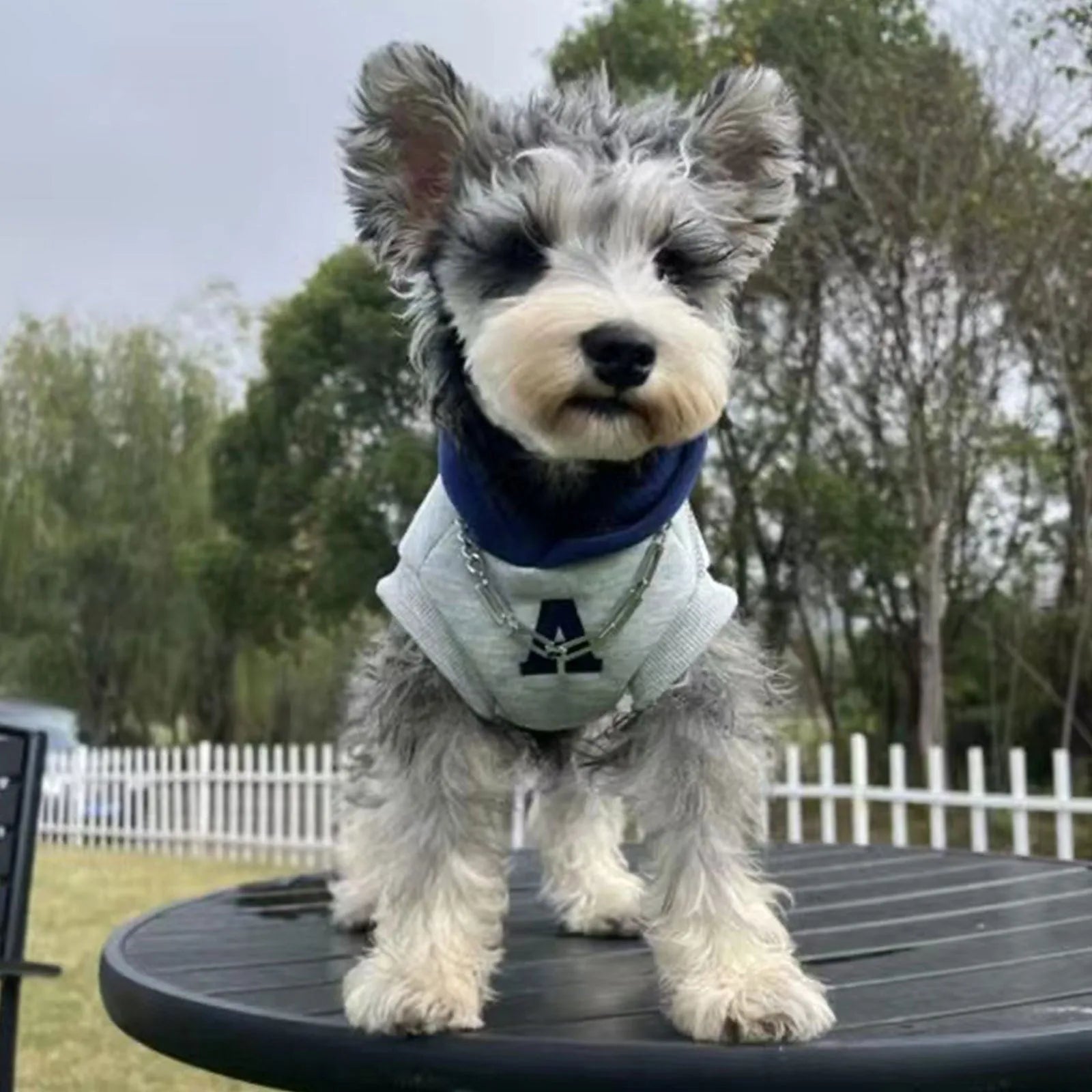 Blue and grey white slim-fit pet hoodie with reflective letters for dogs and cats
