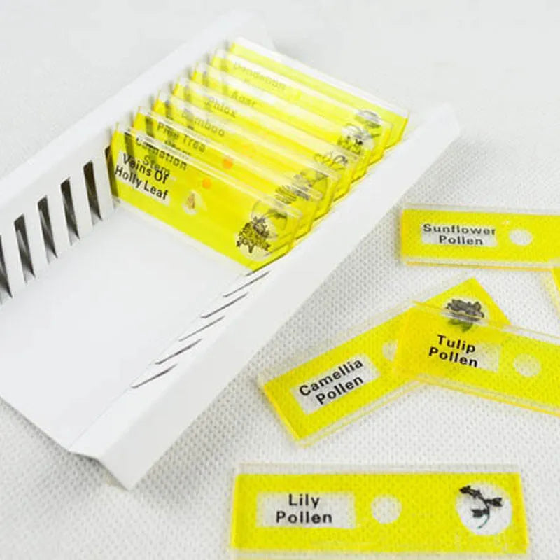 Colour-coded plastic microscope slides set with plant rhizomes and insect specimens for children's observation
