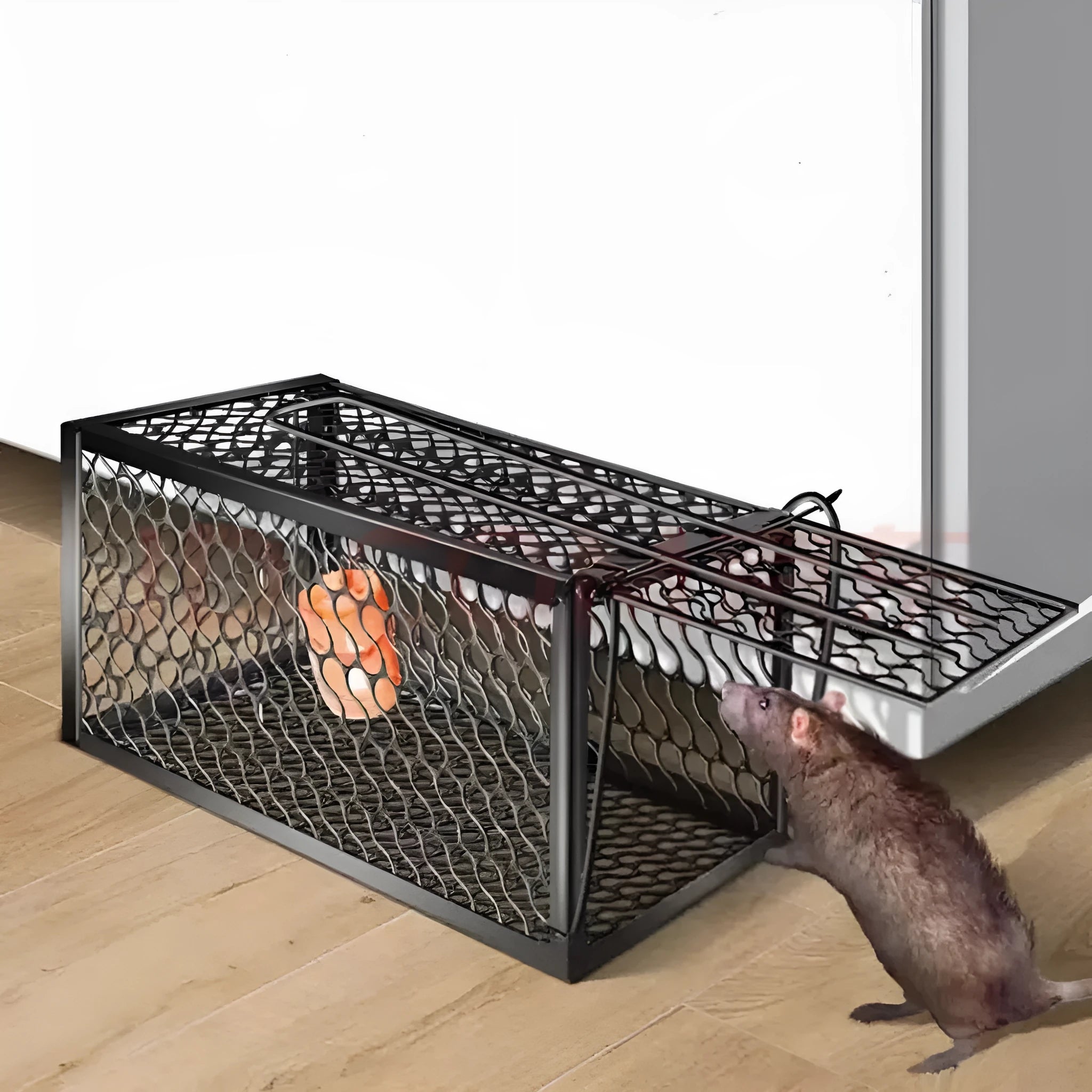 Automatic mouse cage trap in metal and plastic, shown in small, medium, and large sizes for indoor use.