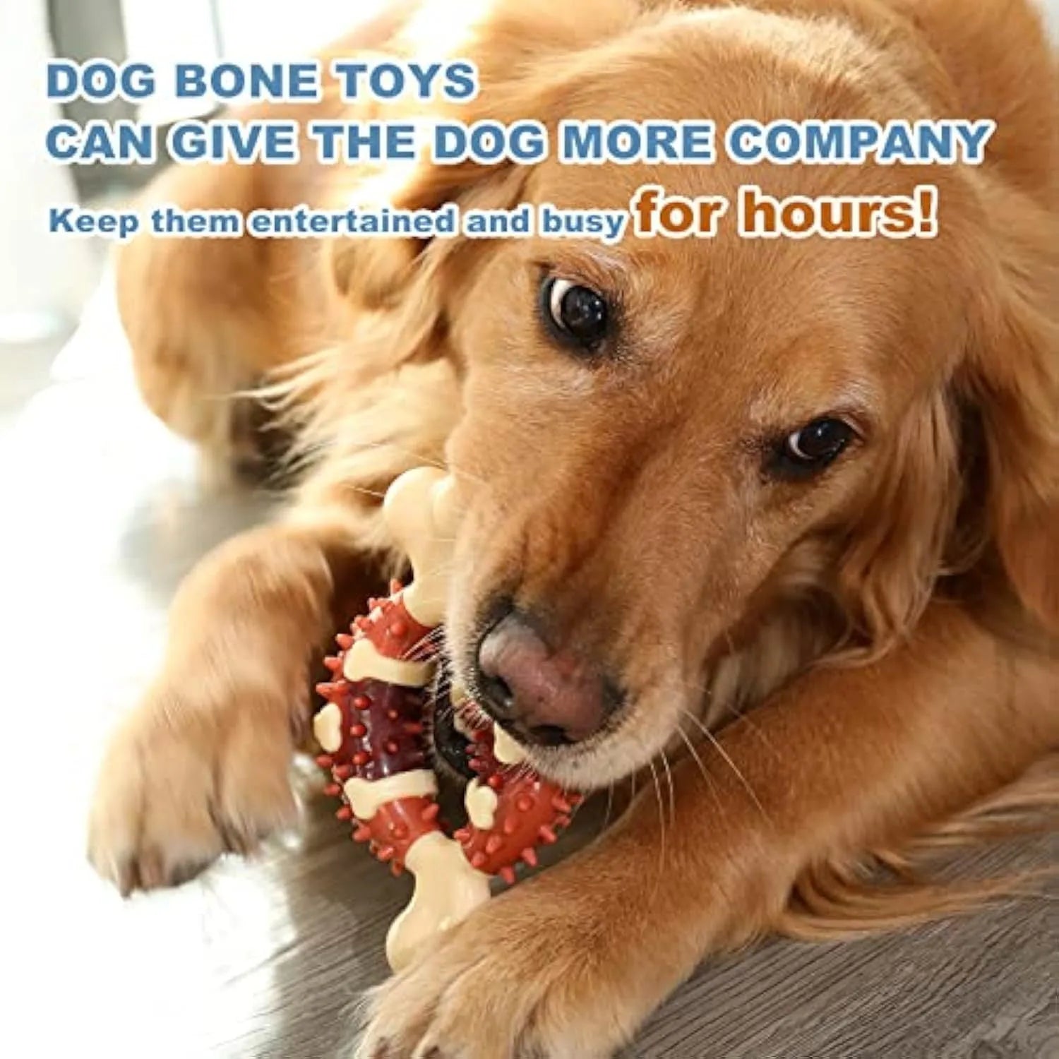 Natural rubber bone-shaped dog molar toy for teeth grinding and anxiety relief in two size options