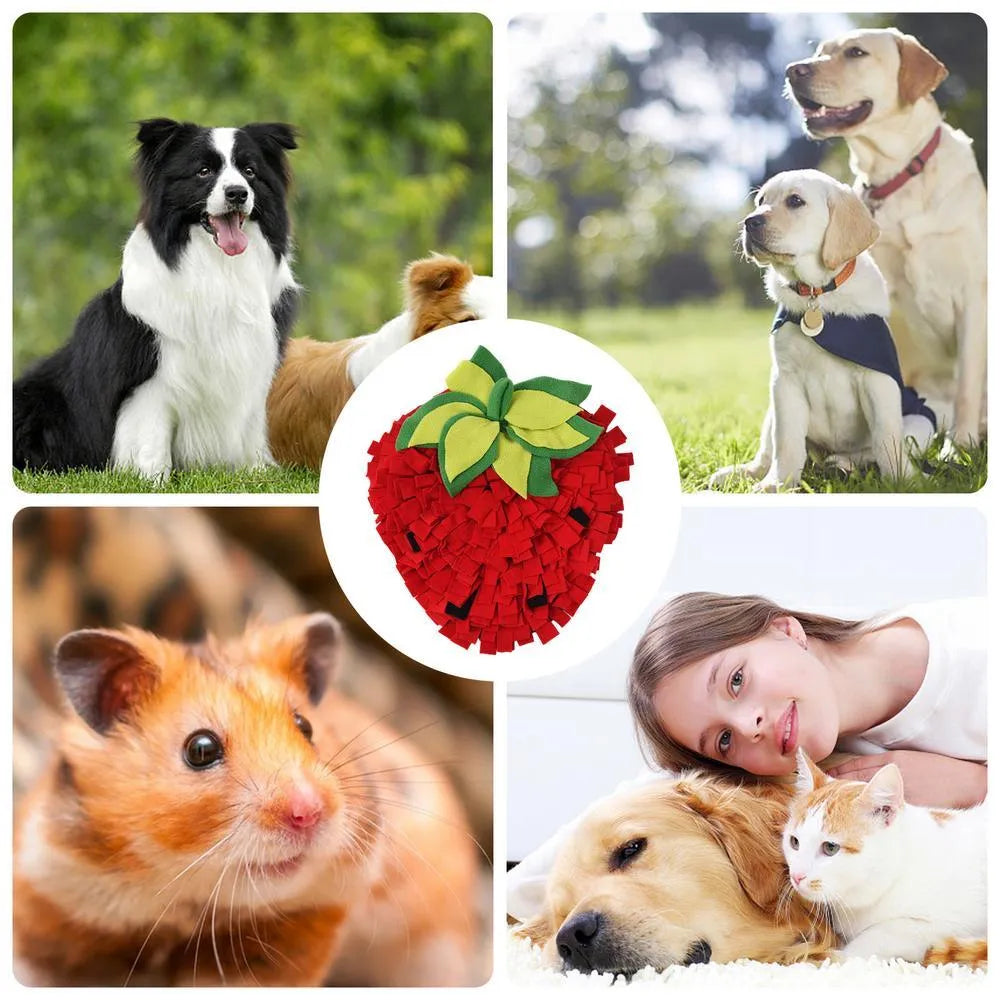 Red and green strawberry-shaped pet sniffing mat for dogs and cats on a wooden floor