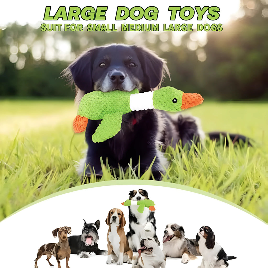 Blue plush duck dog toy with squeakers for large breed chewing play
