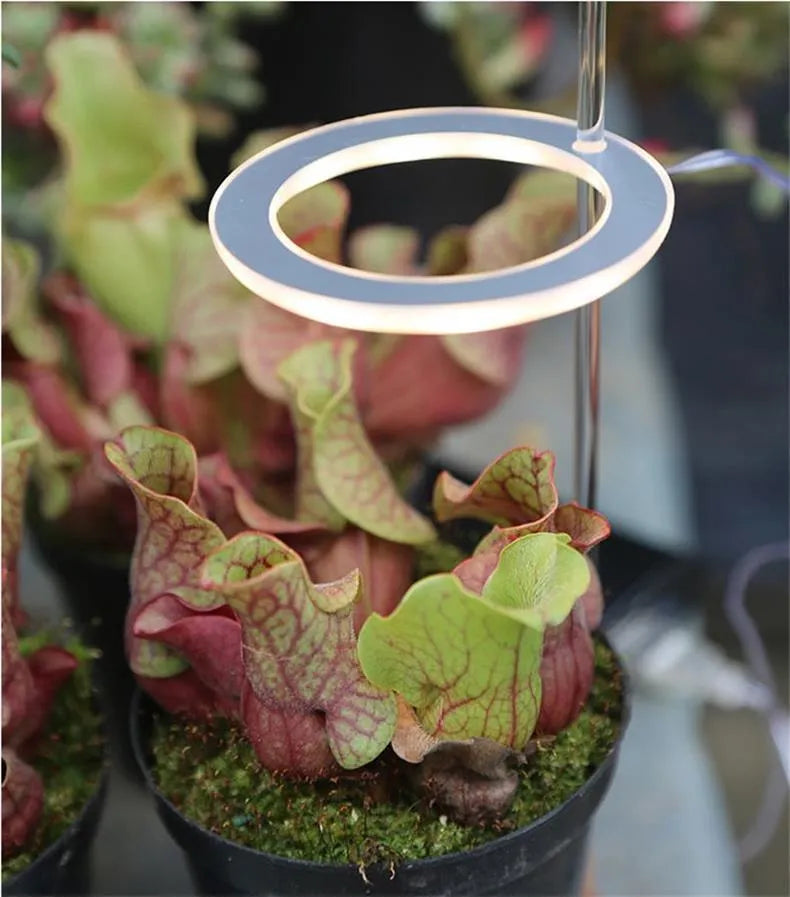 USB LED plant grow light with transparent housing on a 25cm acrylic stick.