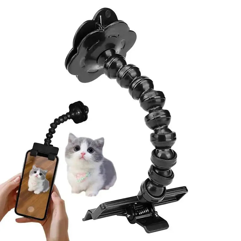 Pet photography tool with snack clip, 360-degree rotation, black plastic phone holder