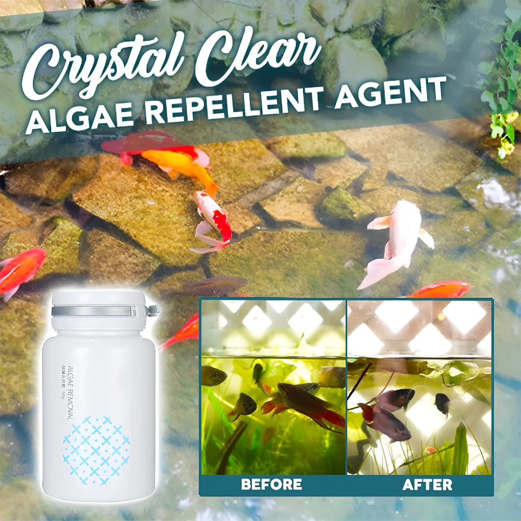 50g bottle of algaecide for swimming pool and aquarium algae and moss removal treatment.