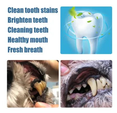 Yegbong pet teeth whitening pen with dual 3ml formula and dental brushes for dogs and cats