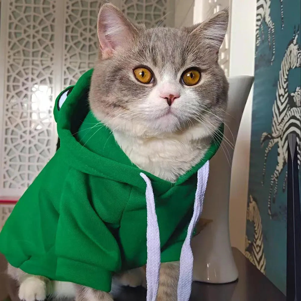 Green frog costume pet hoodie for small dogs and cats with soft fleece fabric in autumn setting