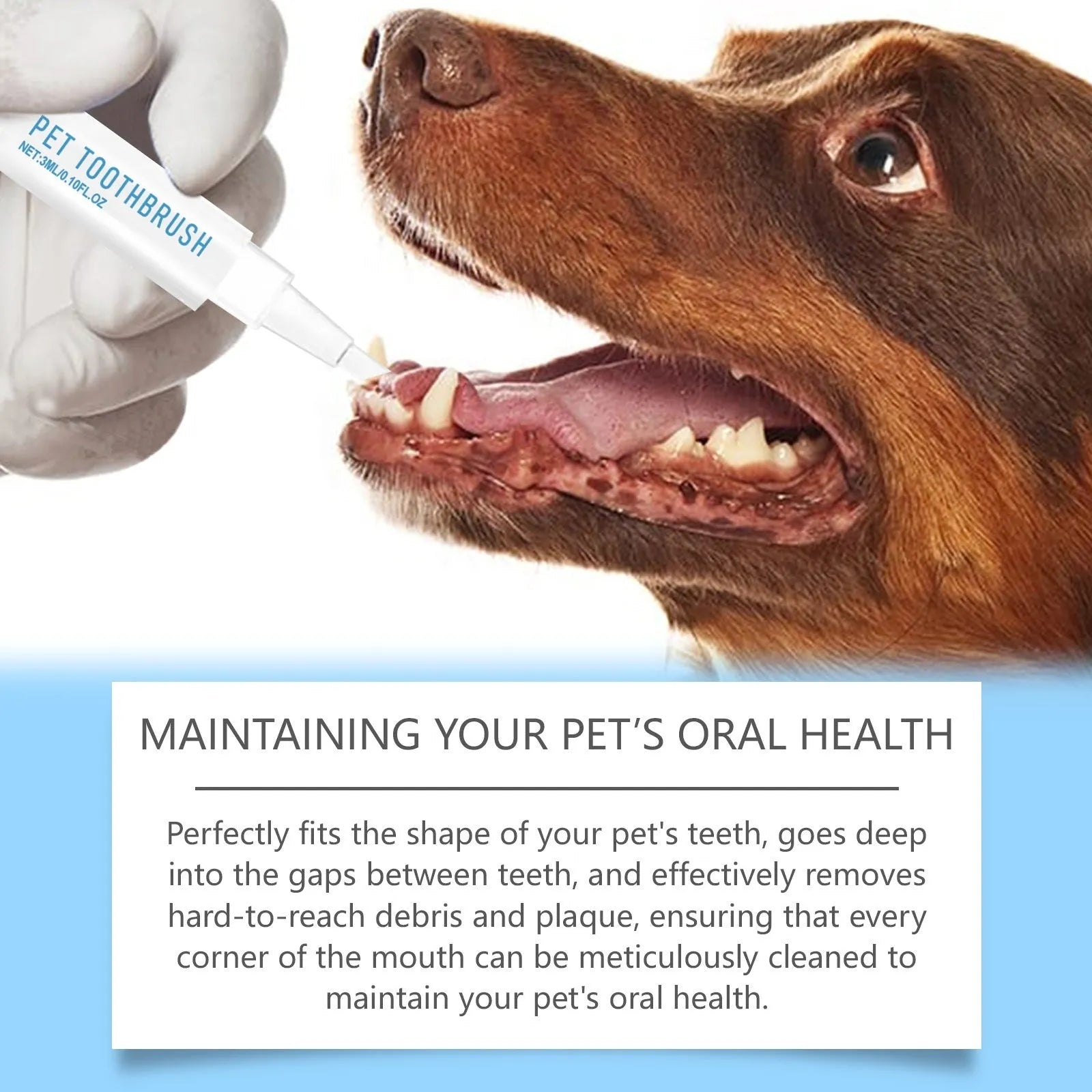 Portable pet toothbrush pen with soft bristle brush head and 3ml capacity for dog and cat dental care