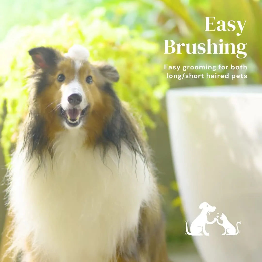 Self-cleaning slicker brush for pet grooming with blue handle and stainless steel pins
