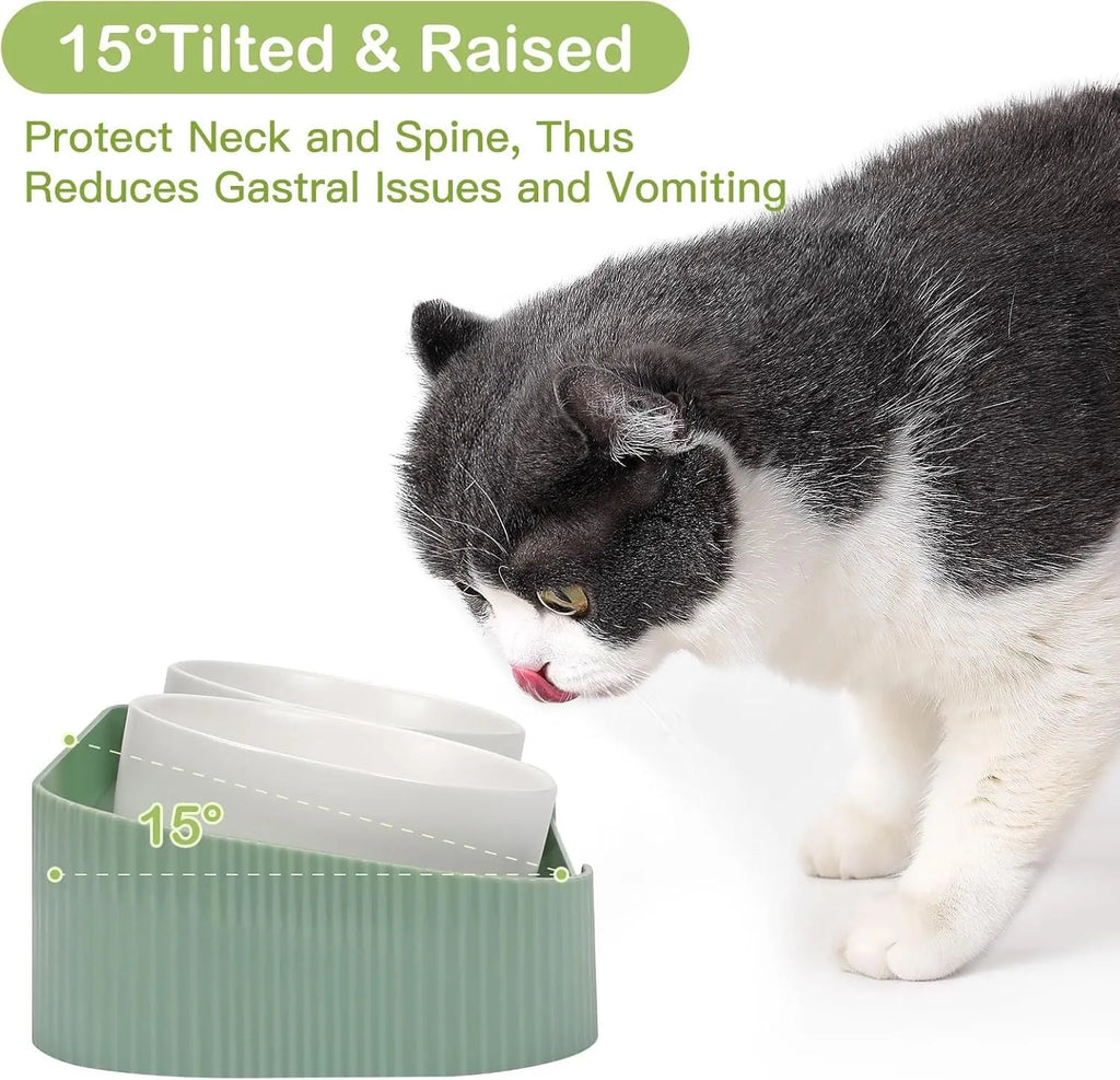 Green ceramic elevated cat bowls with 15-degree tilt and non-slip base