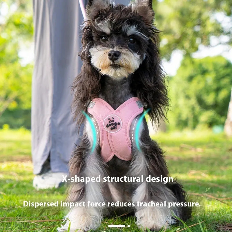 A colourful dog walking vest harness with an attached lead rope, shown in blue, green, pink, or yellow.