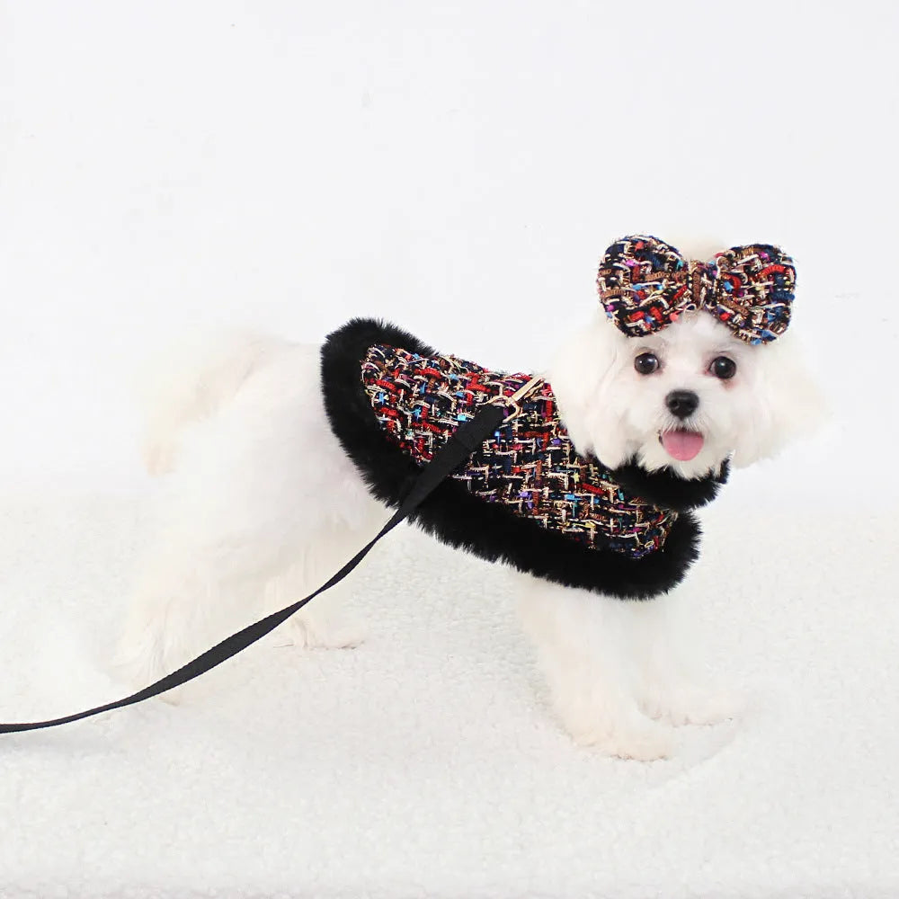 Classic style dog cloak chest strap hand holding rope cloth lead with beret design for small to large dogs