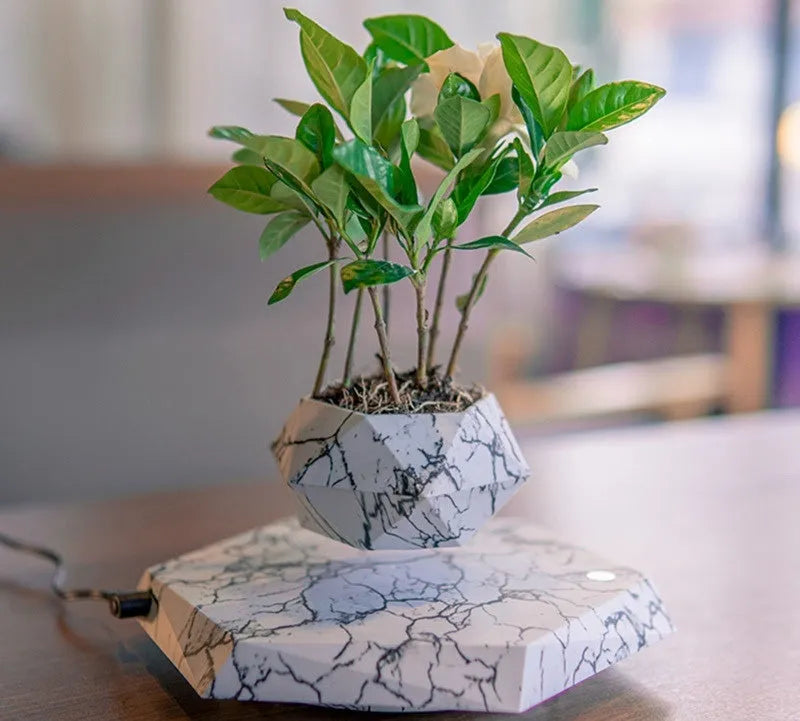Marbled levitating plant pot floating in air with small plant under soft light