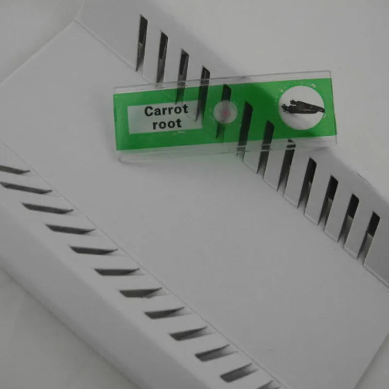 Colour-coded plastic microscope slides set with plant rhizomes and insect specimens for children's observation