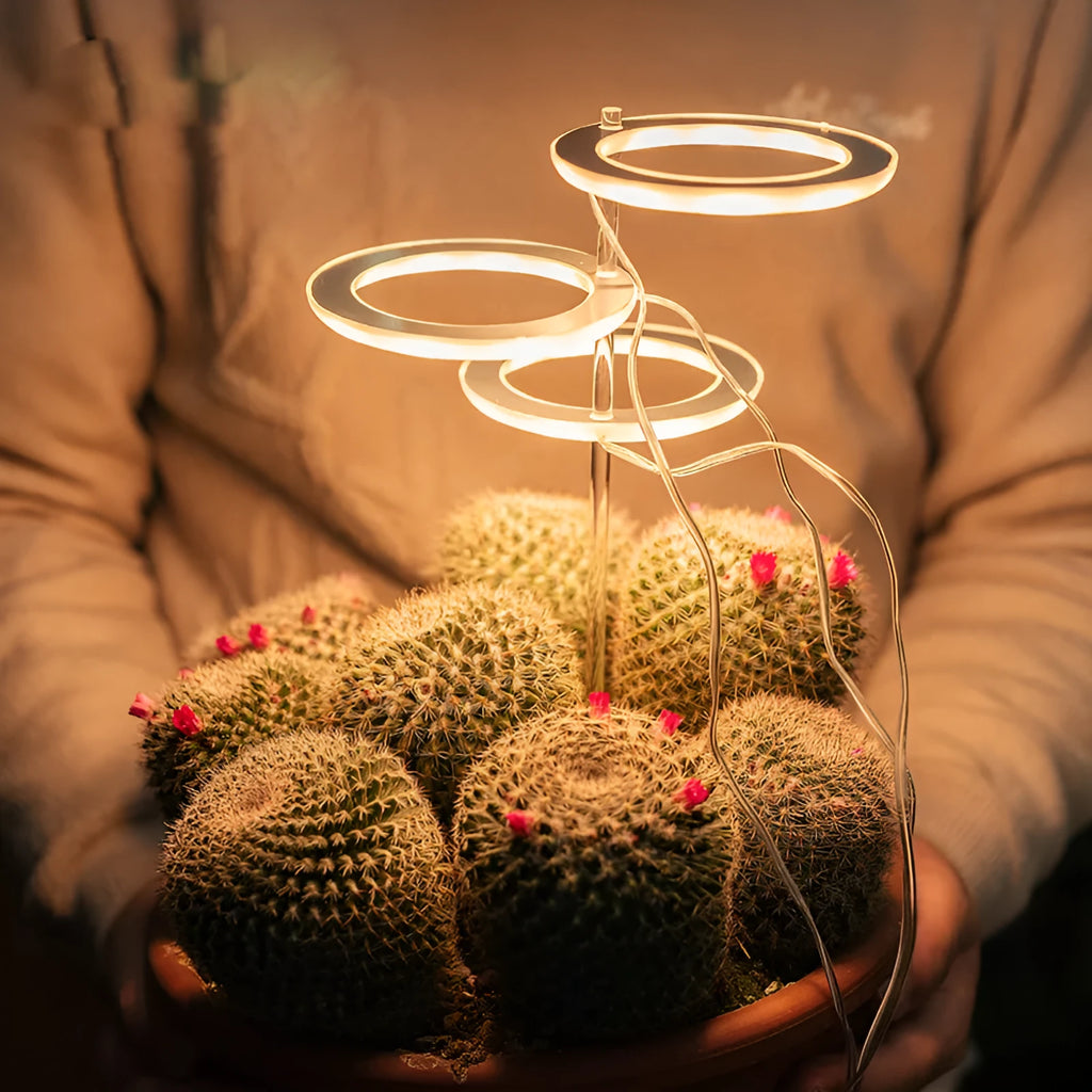 USB LED plant grow light with transparent housing on a 25cm acrylic stick.